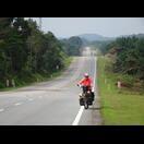 In Wellen führt die Straße durch Ölpalmenplantagen